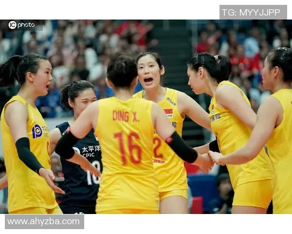 成都排球队强势领跑最新排球状态TOP10榜单引发关注