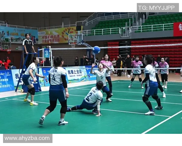 排球盛宴:深入了解杭州排球队的默契与协作精神 排球盛宴:深入了解杭州排球队的默契与协作精神