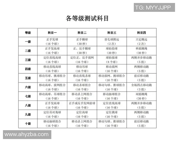 武汉羽毛球队个人能力提升之路热议与展望