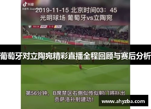 葡萄牙对立陶宛精彩直播全程回顾与赛后分析